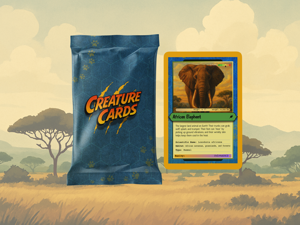 Creature Cards